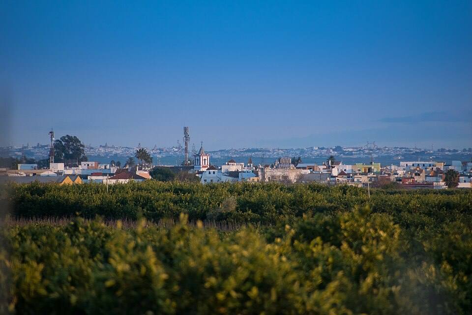 Brenes