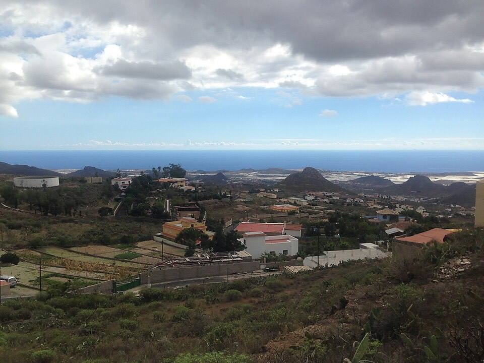 Arona