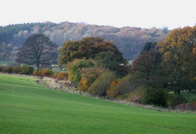 Loughton