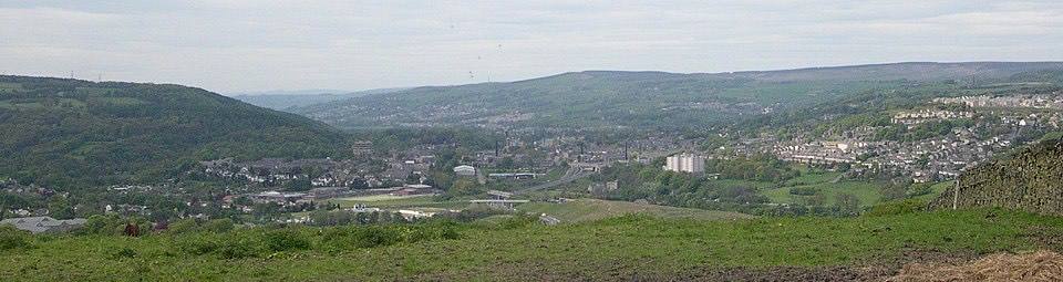 Bingley