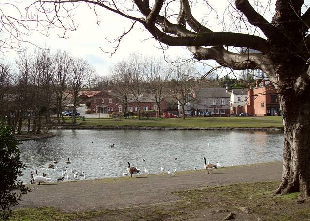 Askern