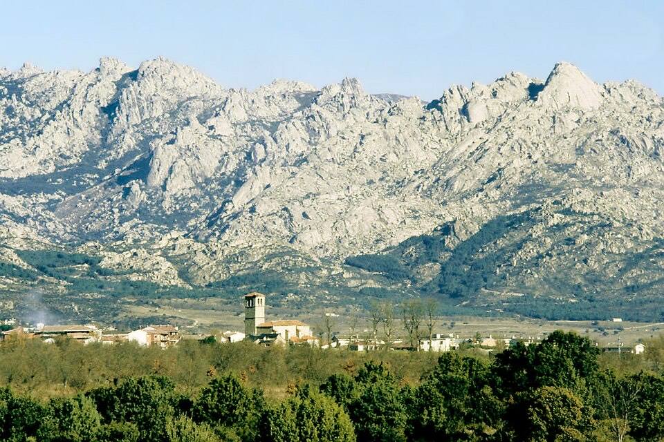 Cerceda