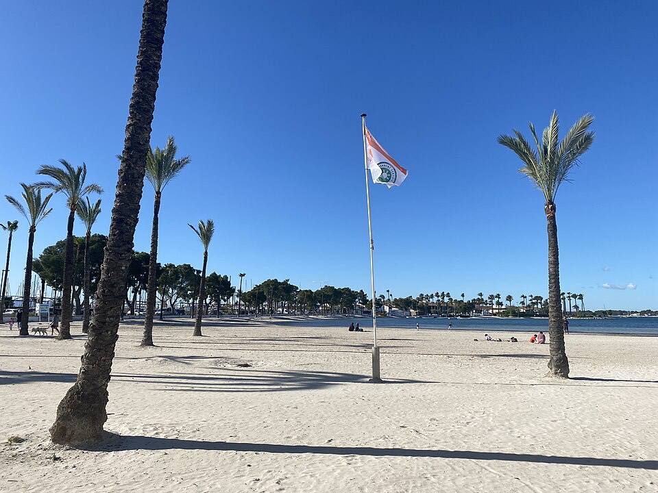 Port d'Alcúdia